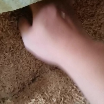 湖北地区精品压缩稻壳