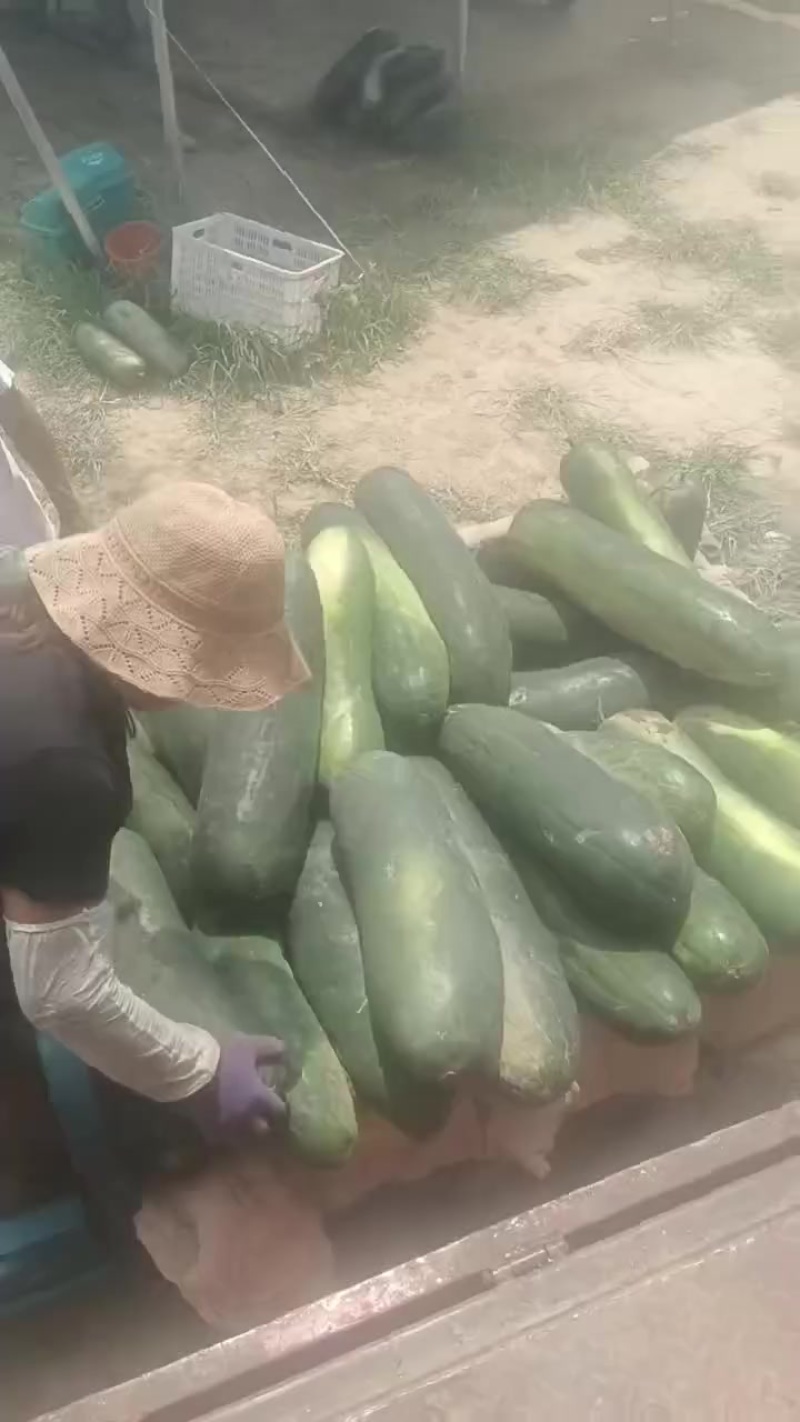 诚信代办