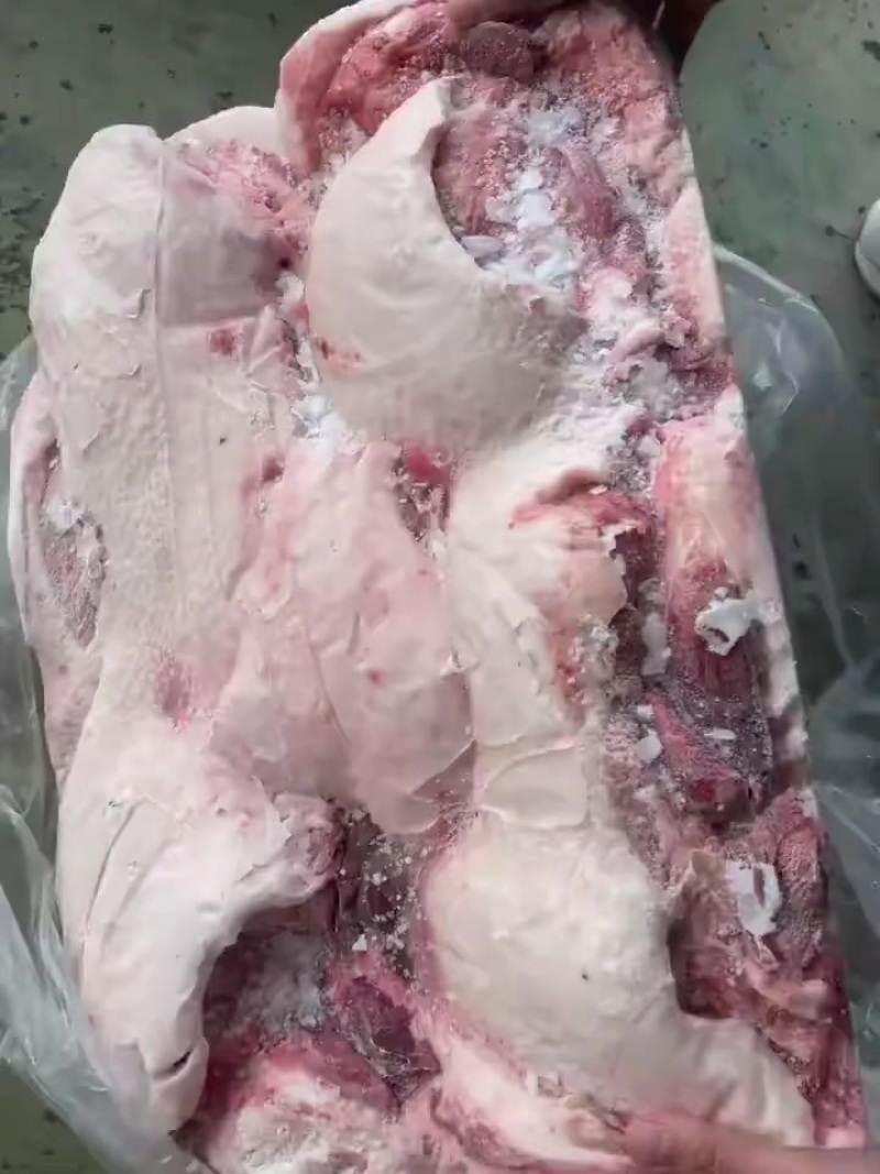 母猪去皮槽头一车新货