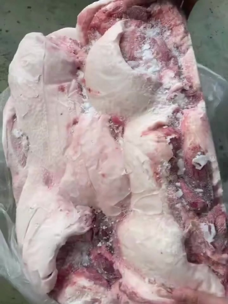 母猪去皮槽头一车新货