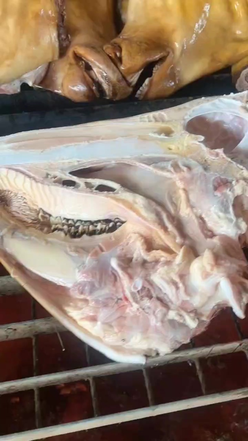 火燎牛头规格齐全牛头宴的首选食材