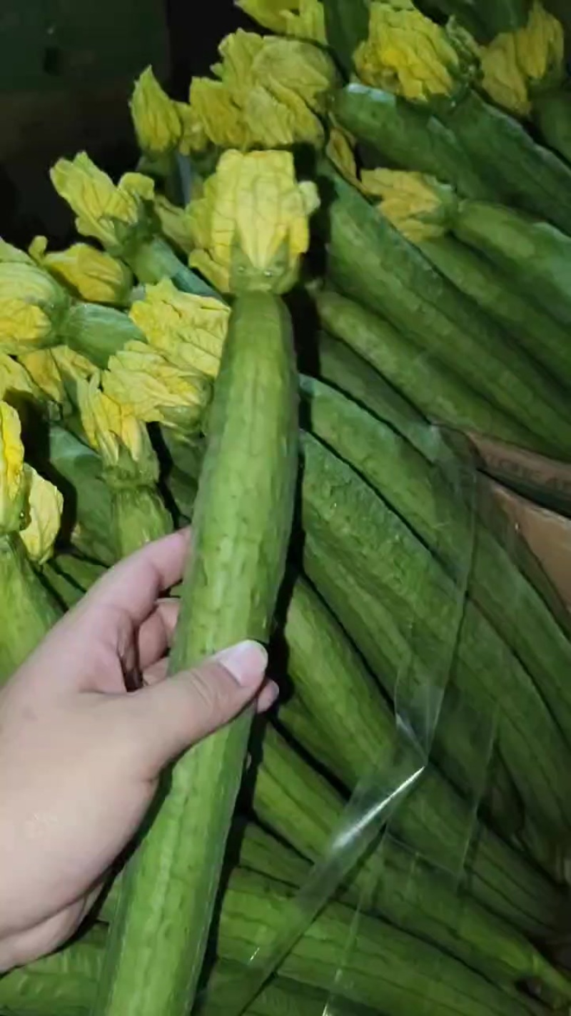鲜花丝瓜