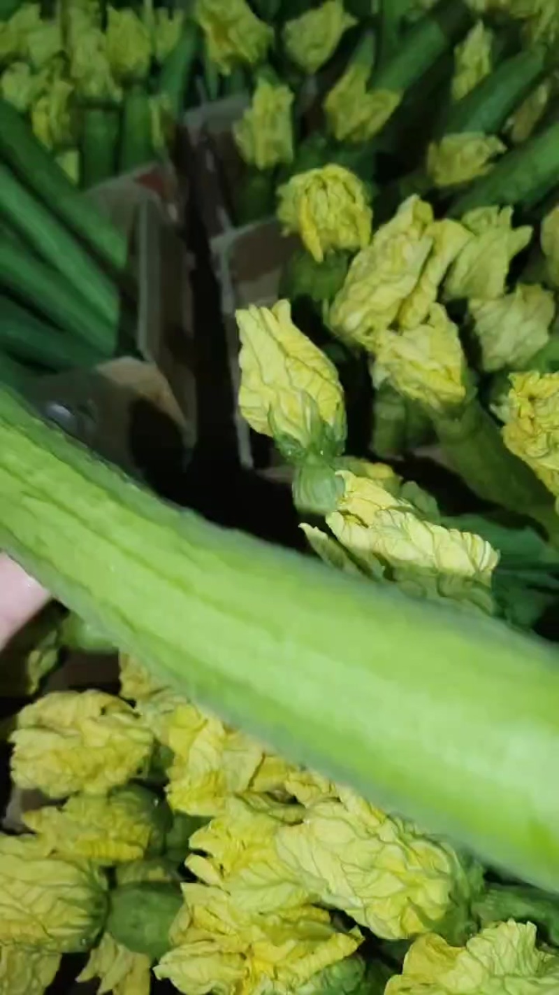 鲜花丝瓜
