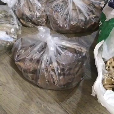 苦丁茶寄生，樟木寄生，黄皮寄生，三叉苦，五指毛挑等