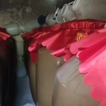 玉米散酒