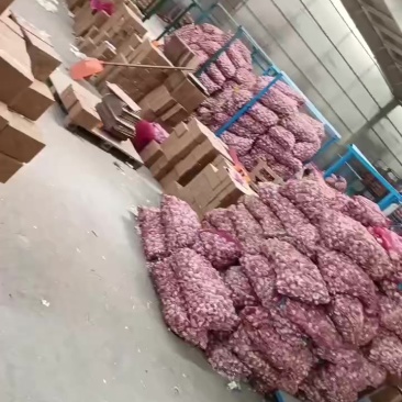 大蒜