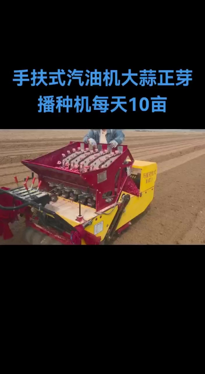正芽大蒜播种机