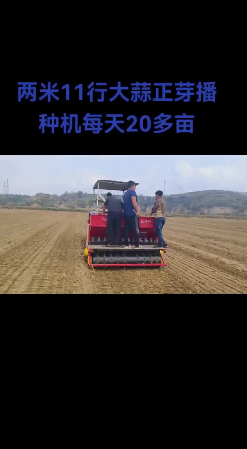 正芽大蒜播种机