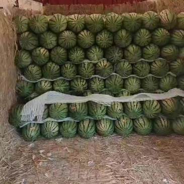 宁夏硒砂瓜，金花，