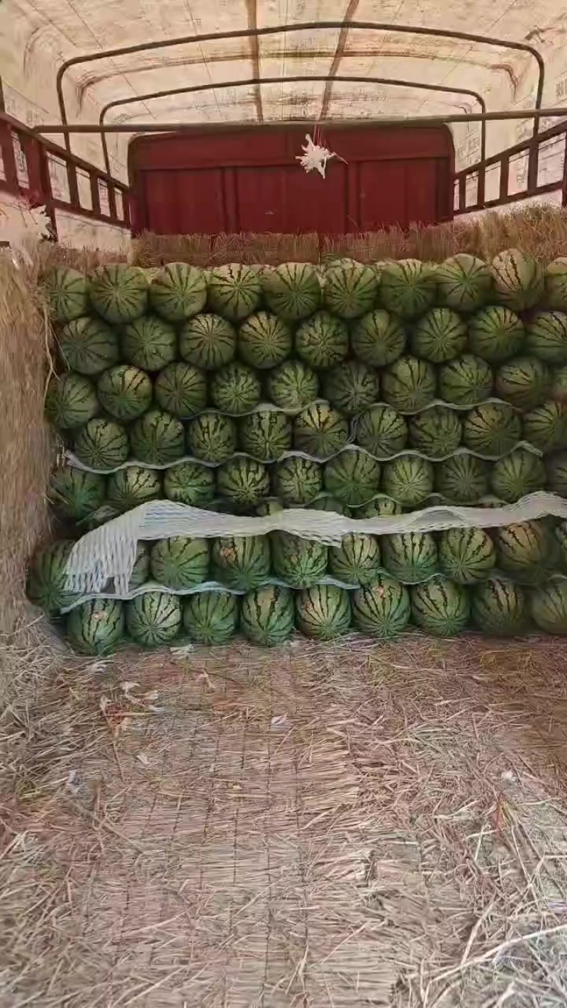 宁夏硒砂瓜，金花，