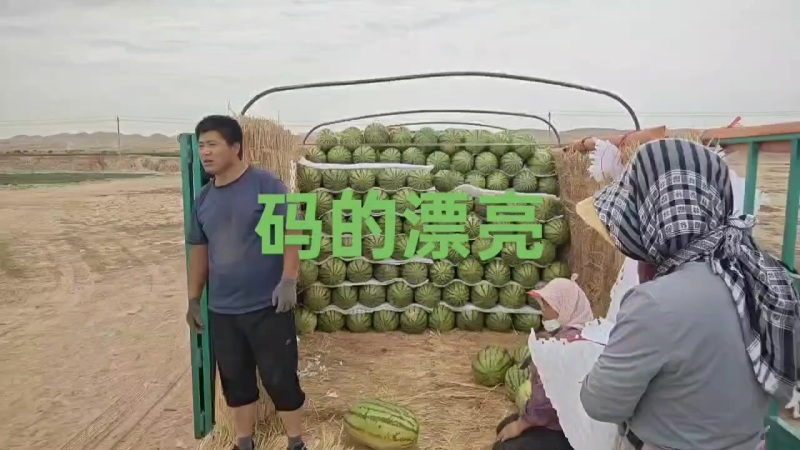 宁夏硒砂瓜，金花，