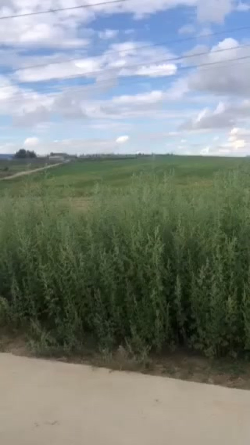 有两万亩土地出租30年可以做高标准农田每亩每年200元
