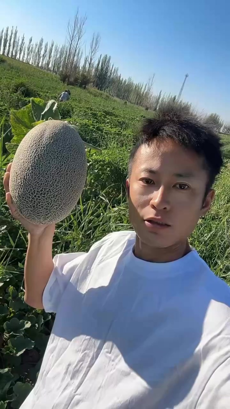 西周蜜