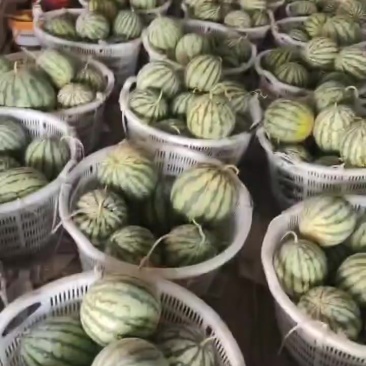 高次，需要的联系！