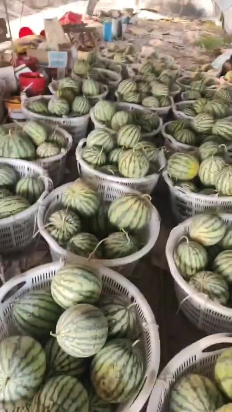 高次，需要的联系！