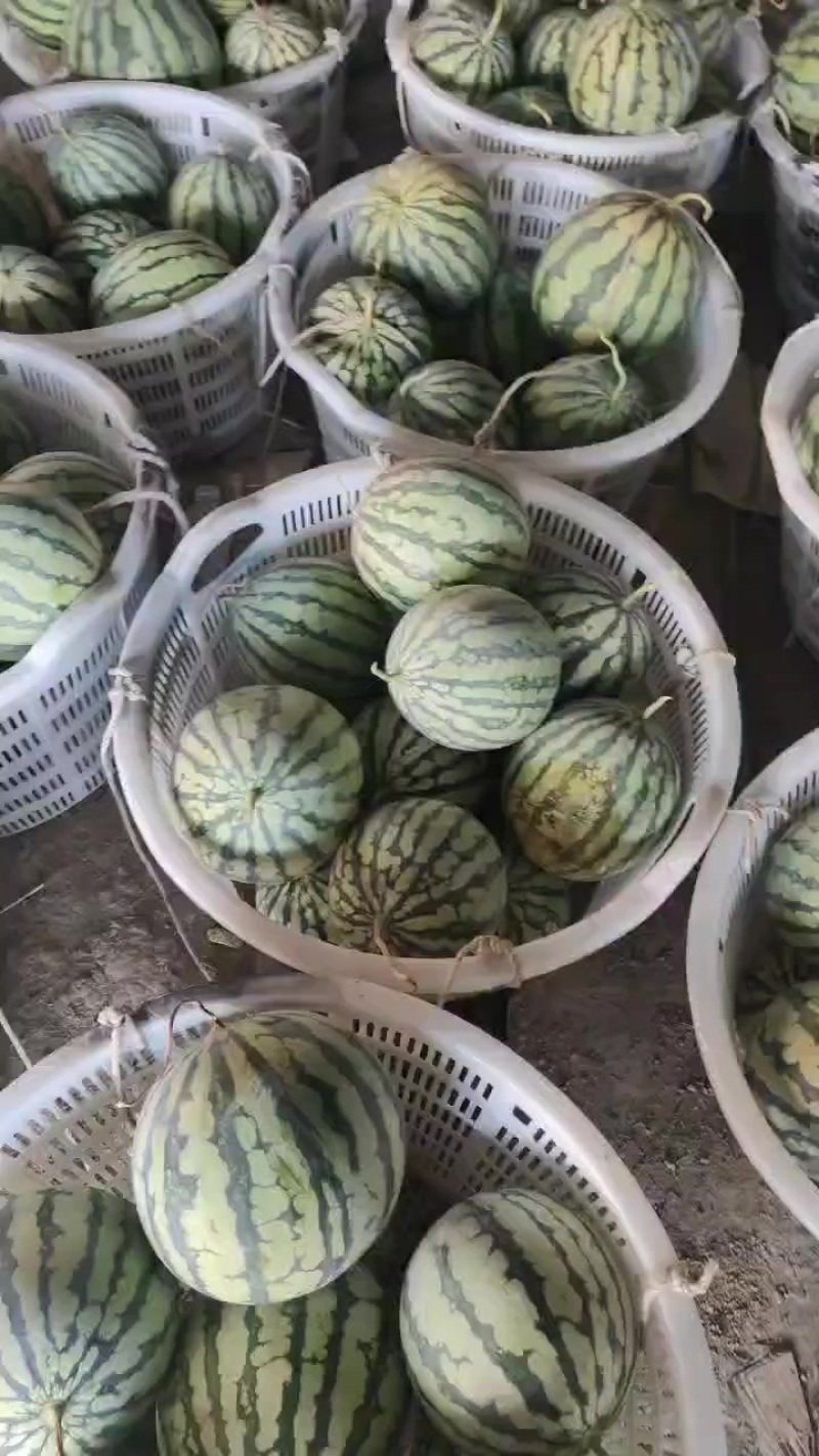 高次，需要的联系！