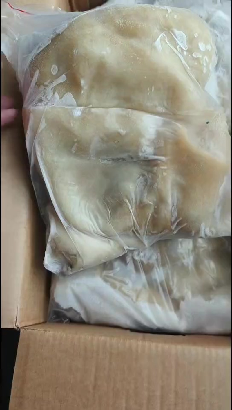 羊肚实拍