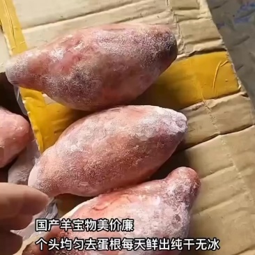 国产羊宝物美价廉