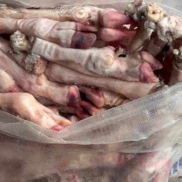 羊蹄白菜价几块钱一斤