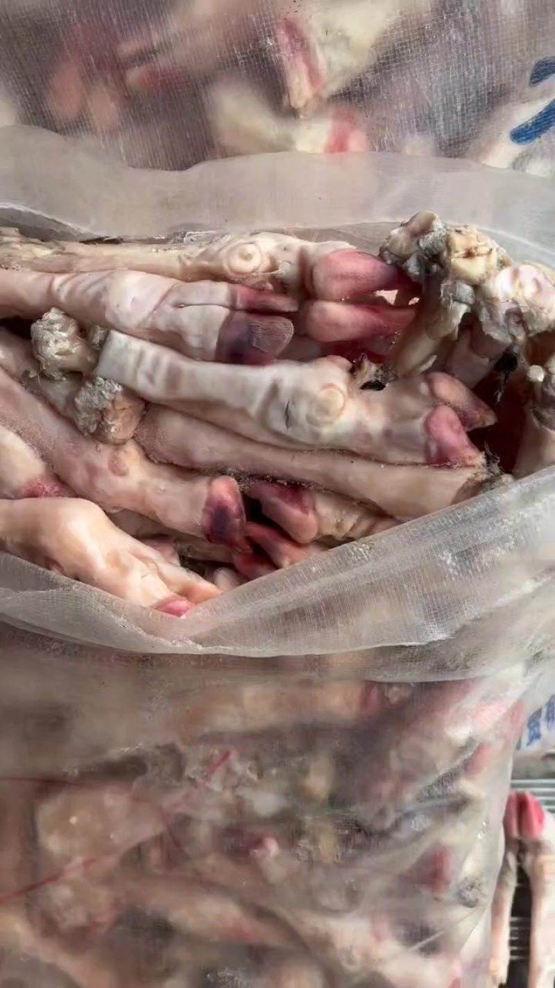 羊蹄白菜价几块钱一斤