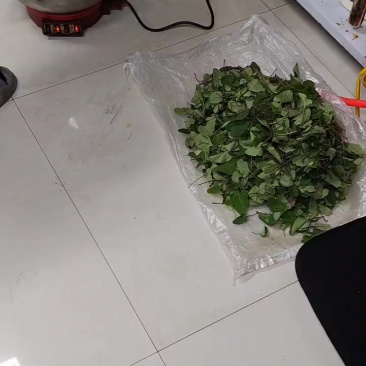毛尖茶毛键茶干茶