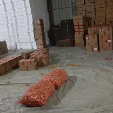 白芸豆板玉龙