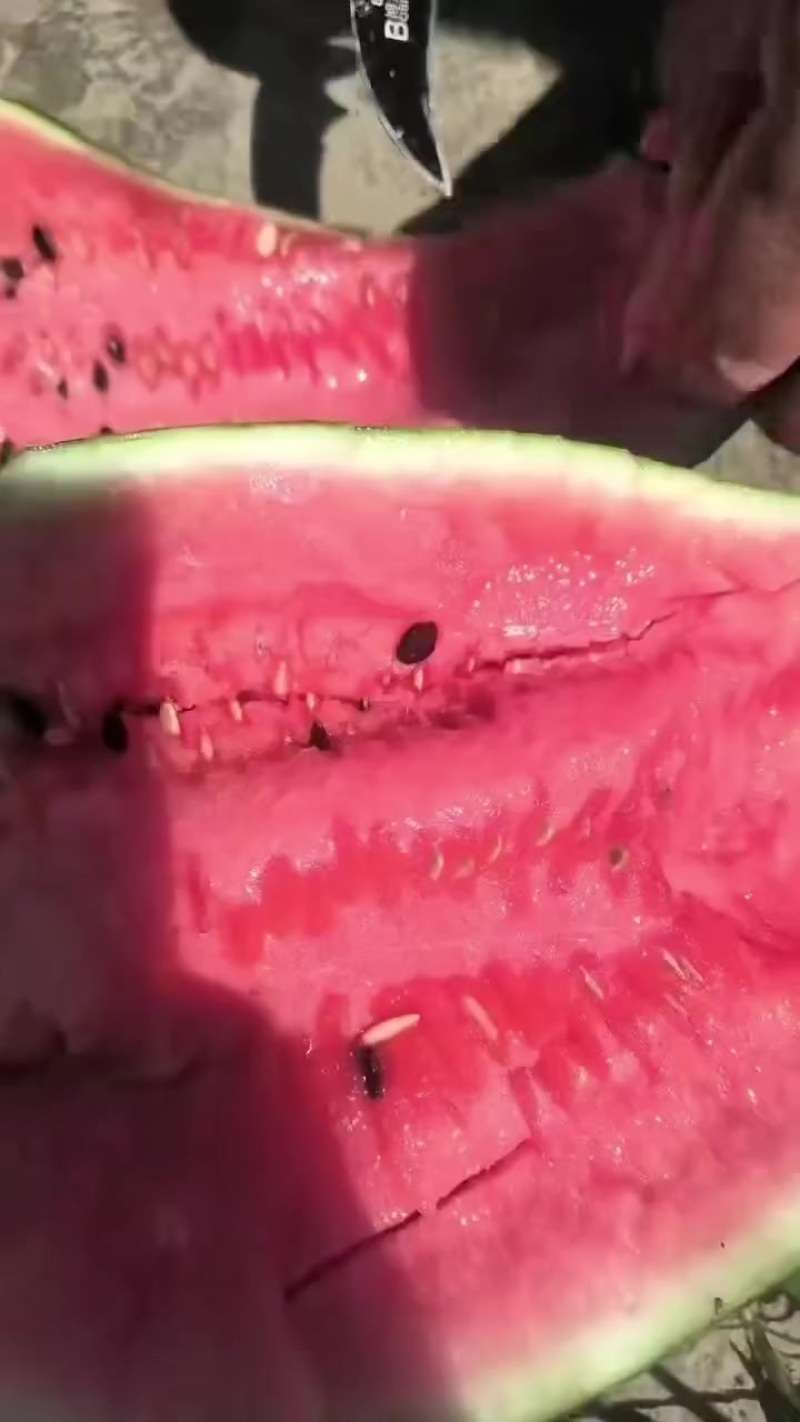 新红宝