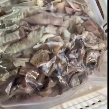 牛杂包，B级六合一牛杂包套餐，欢迎来咨询牛肚1斤伞肚
