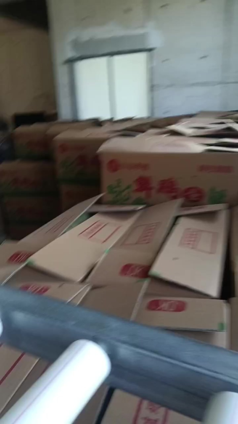 寻38斤至41斤红心
