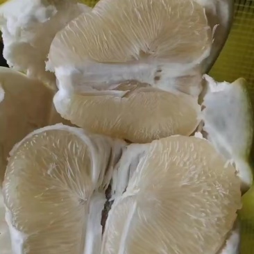 冬试枣柚子
