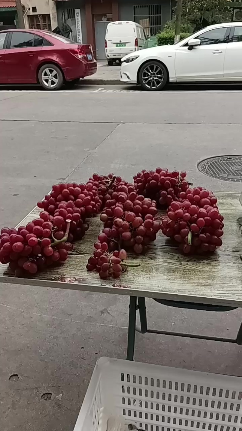 葡萄