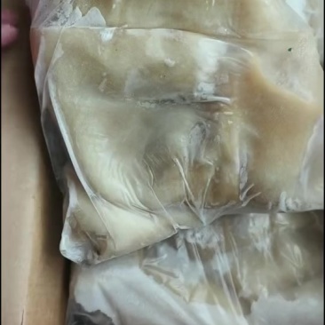 熟羊肚