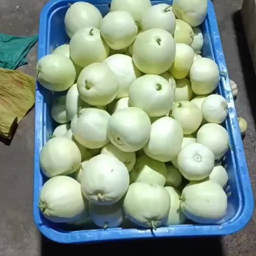 衡南香瓜