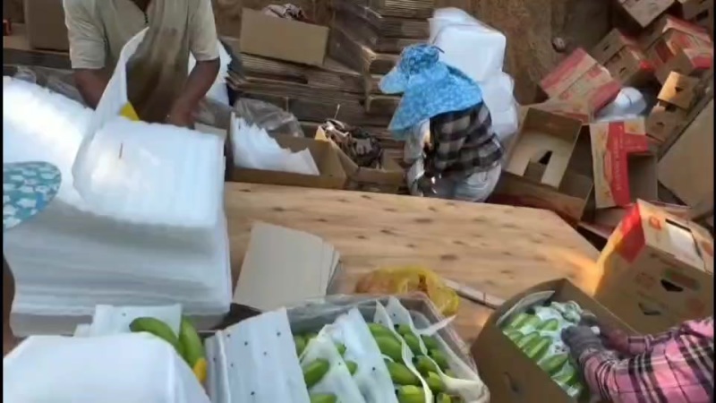 香蕉