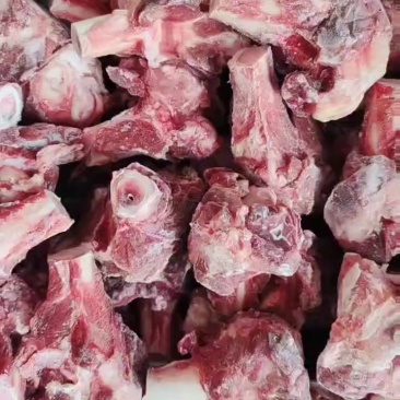 多肉羊棒骨
