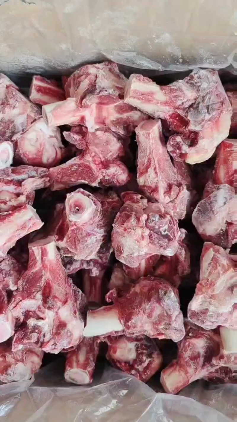 多肉羊棒骨