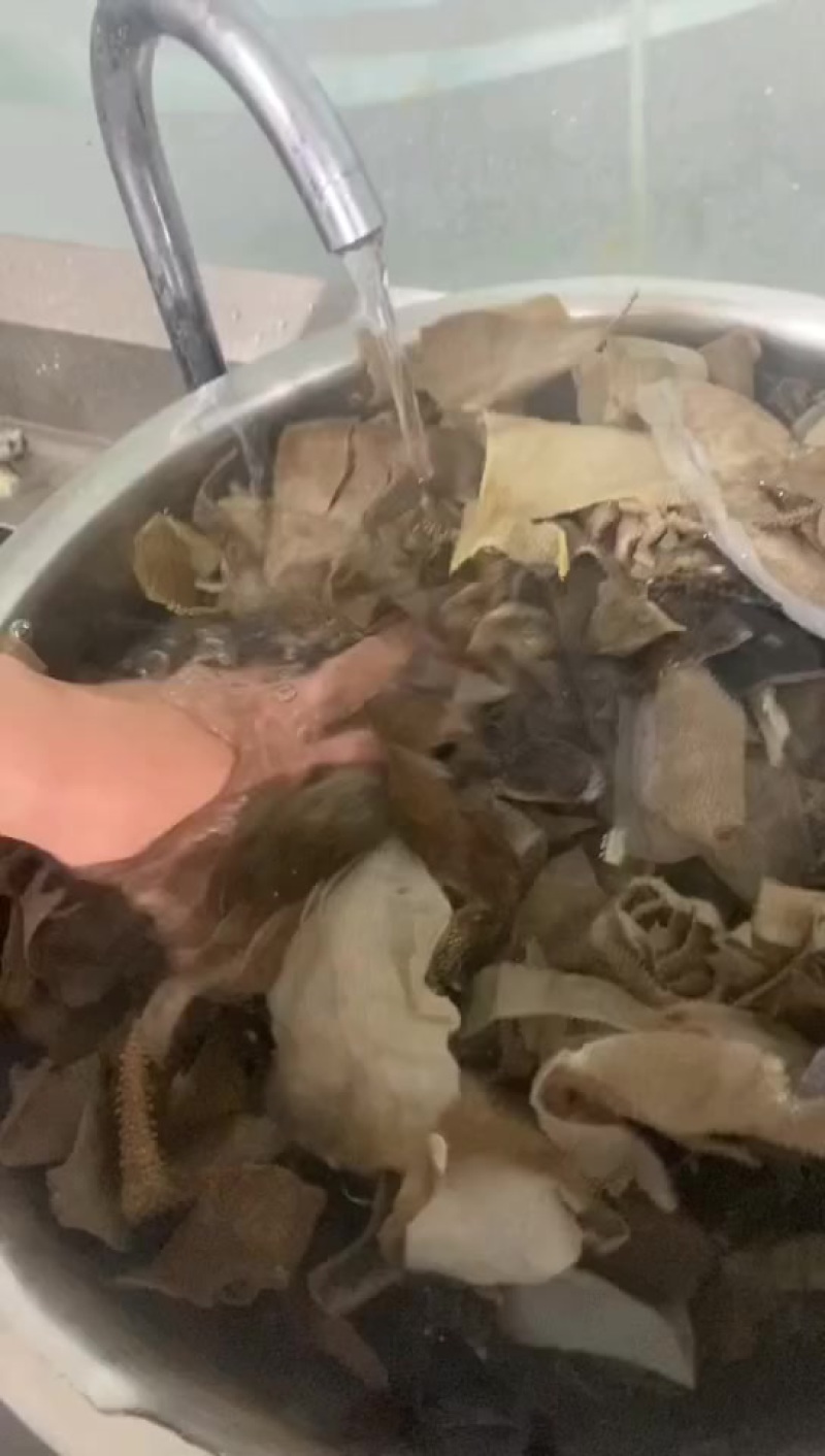 毛肚片