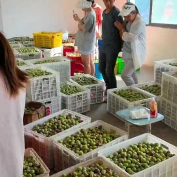 半边红