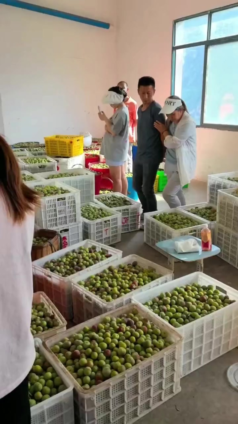 半边红
