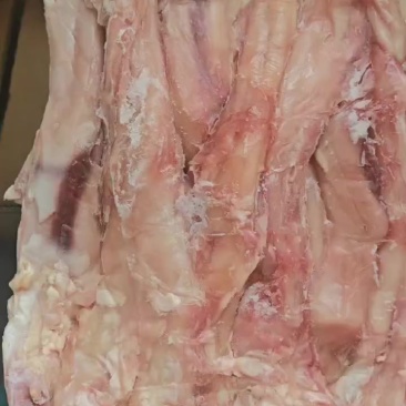 生牛蹄筋