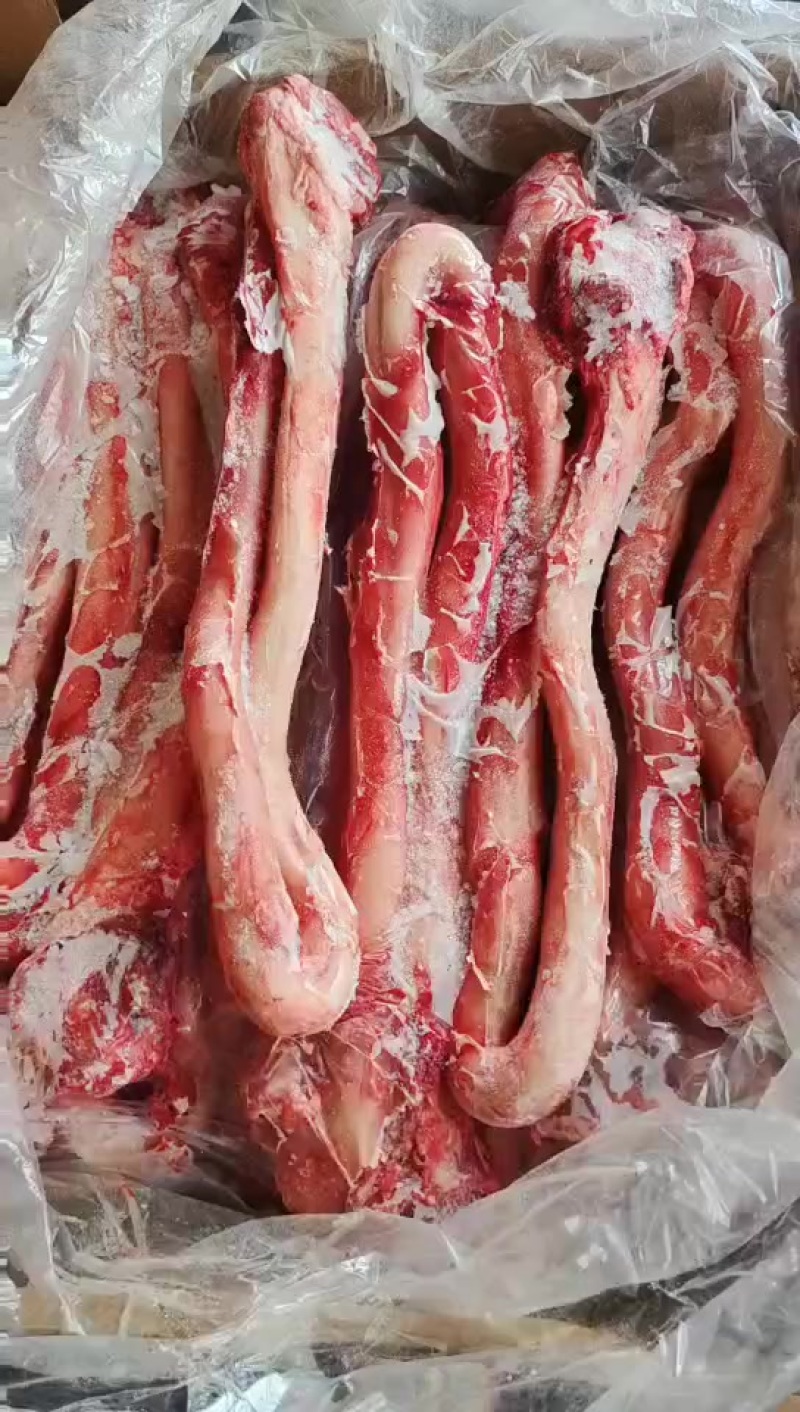 牛鞭