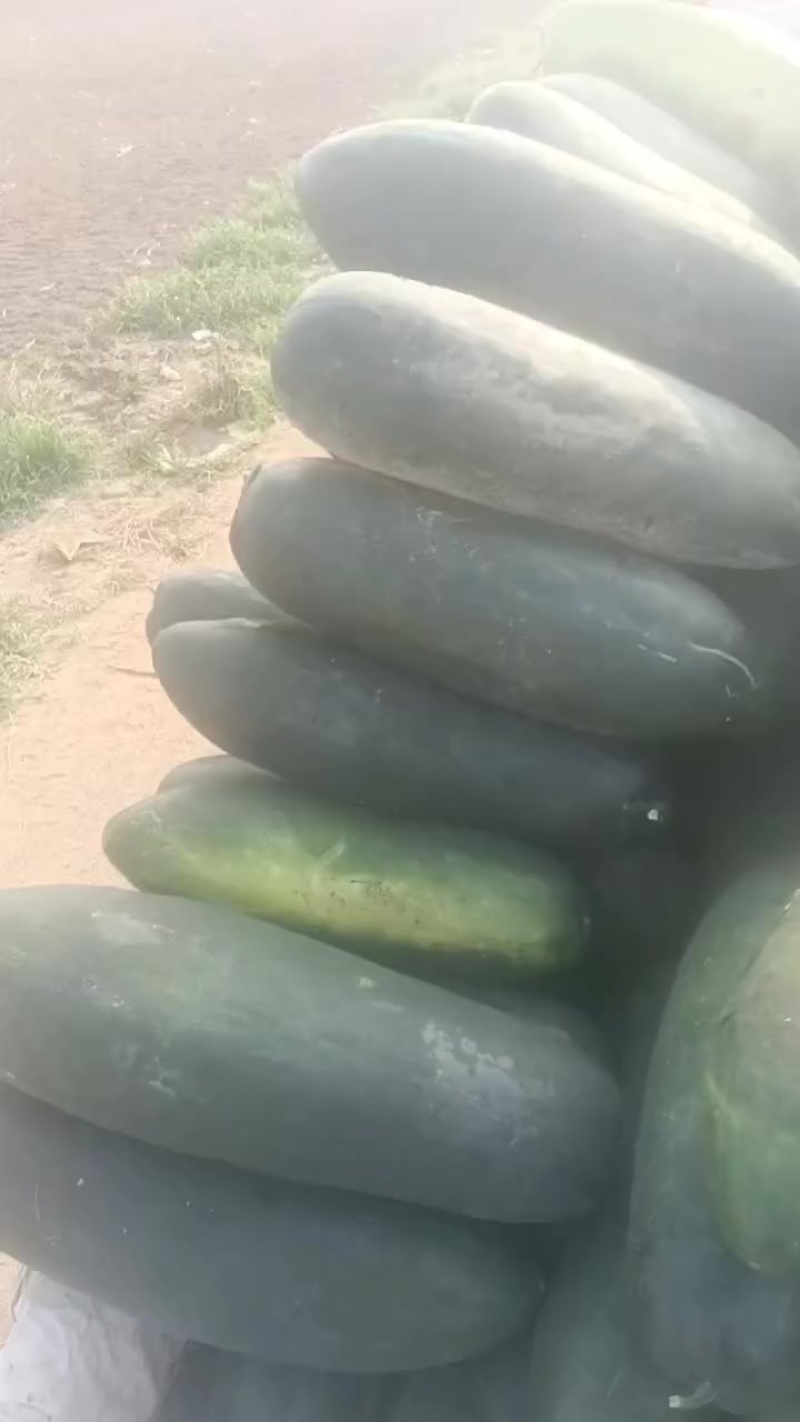 诚信代办