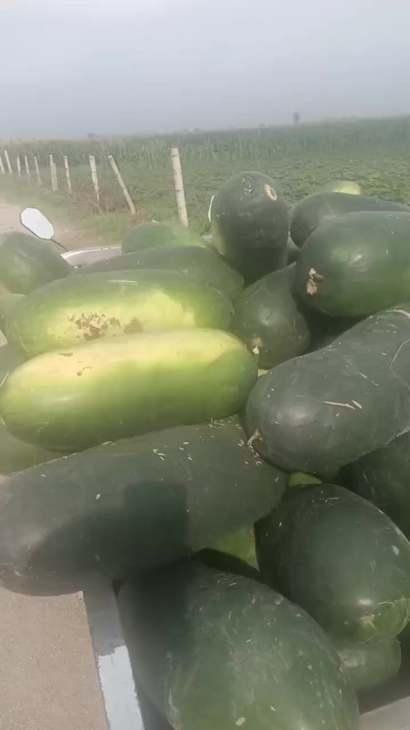 诚信代办