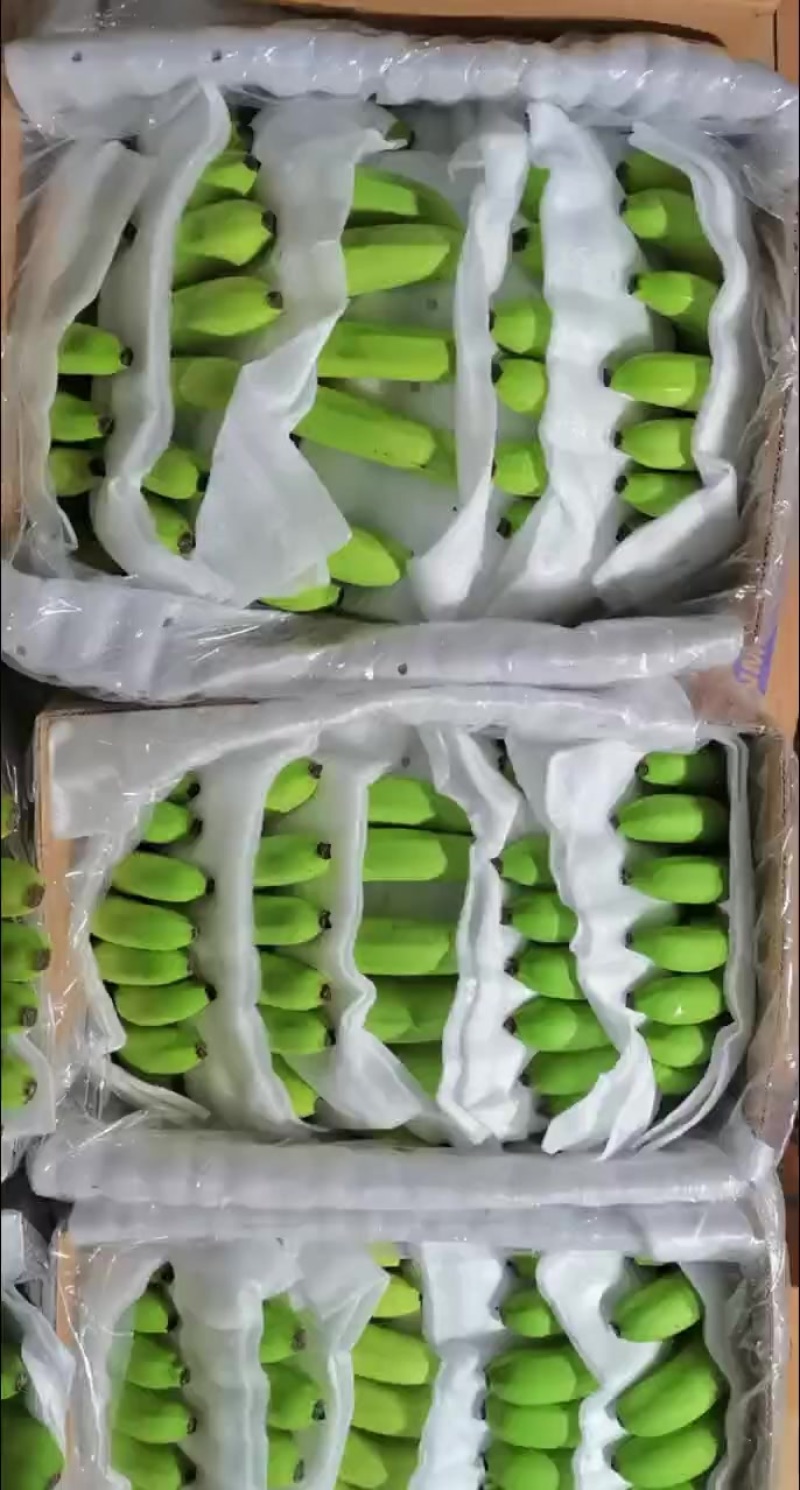 香蕉***********微信同号丁先生