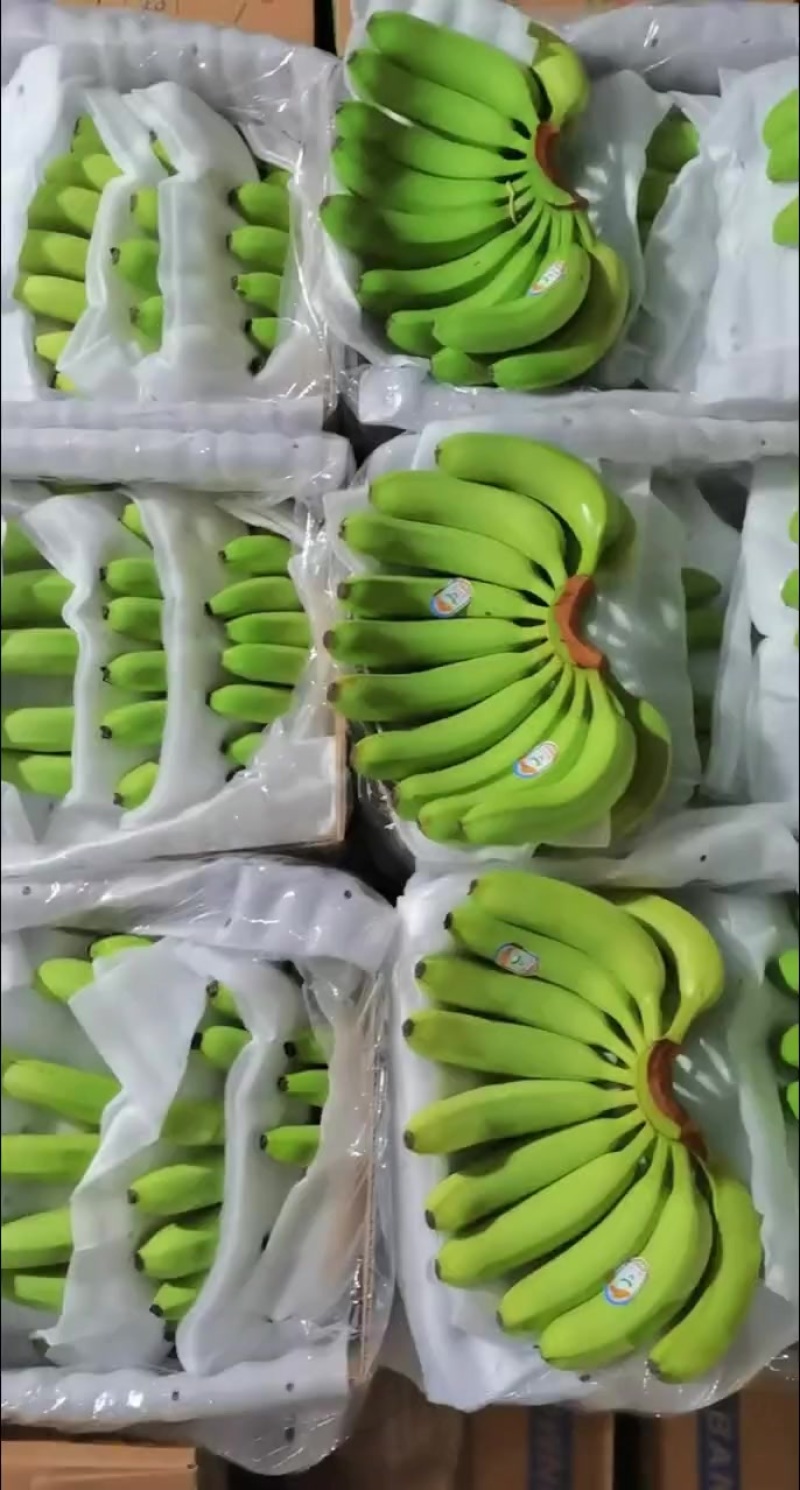 香蕉***********微信同号丁先生