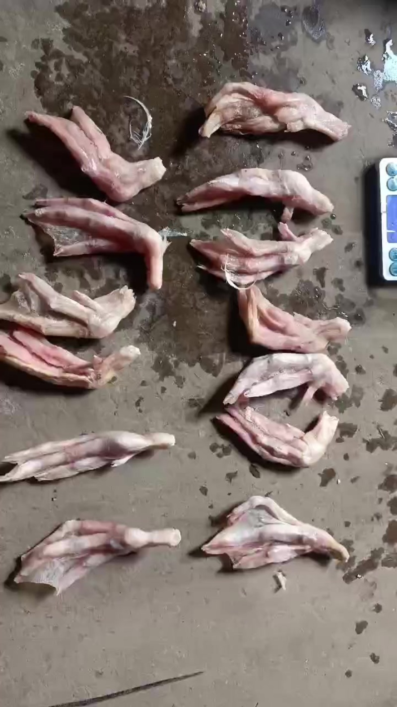 鸭掌，