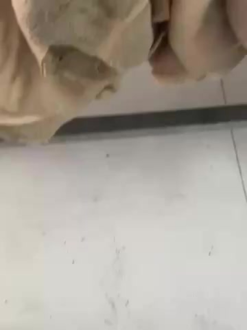 牛大肚