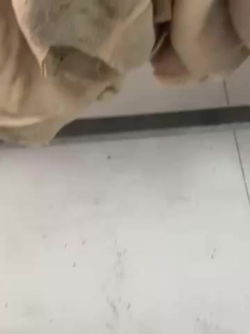 牛大肚