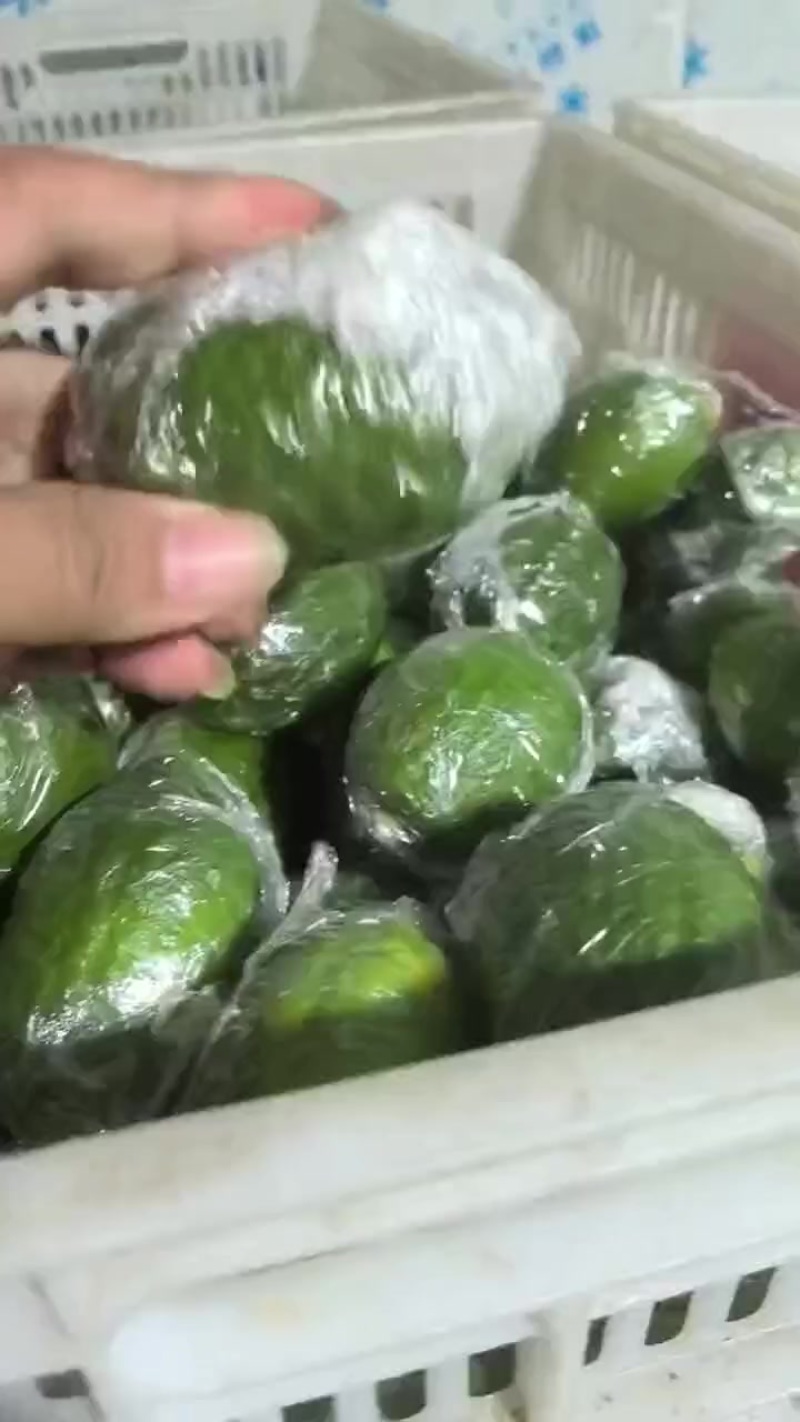 夏果一级全青