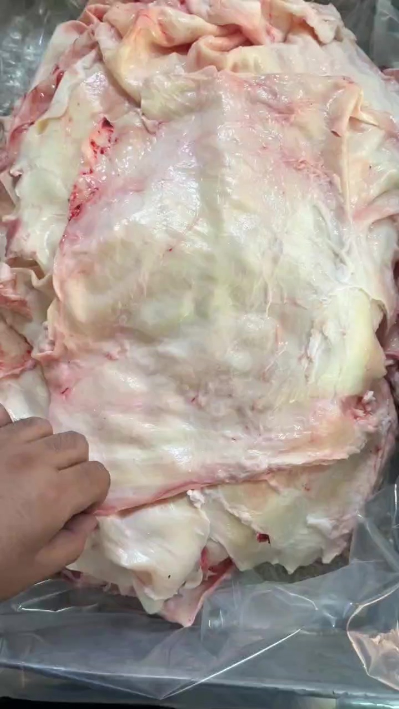 牛腩筋现货，货源充足大量有货